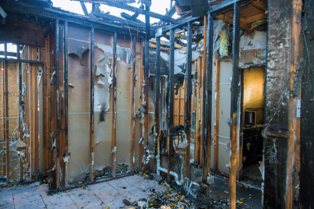 Professional Fire Damage Removal technician working in Silver Lake, FL