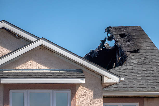 Top rated local Fire Damage Removal specialists in Silver Lake, FL